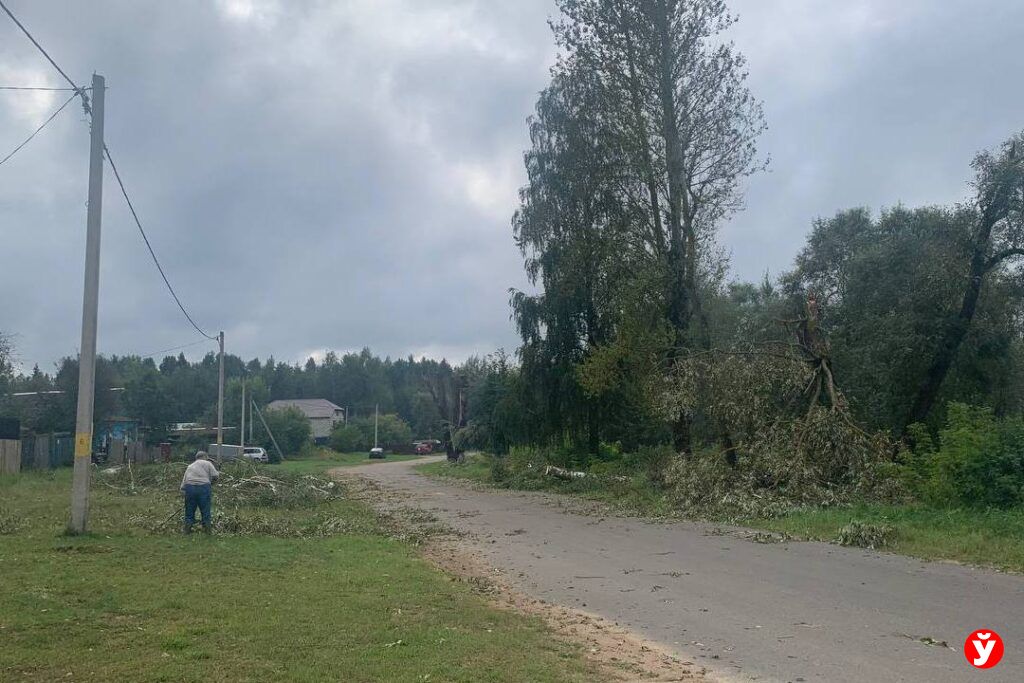 стихия Крупки