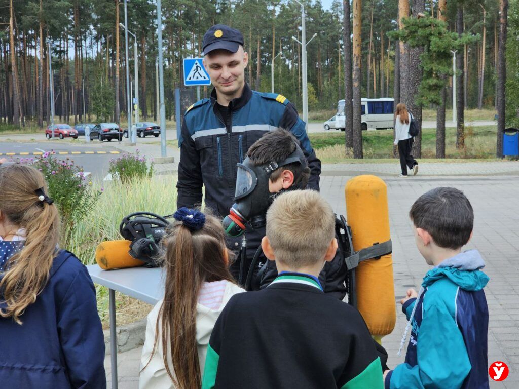 Борисов Арена