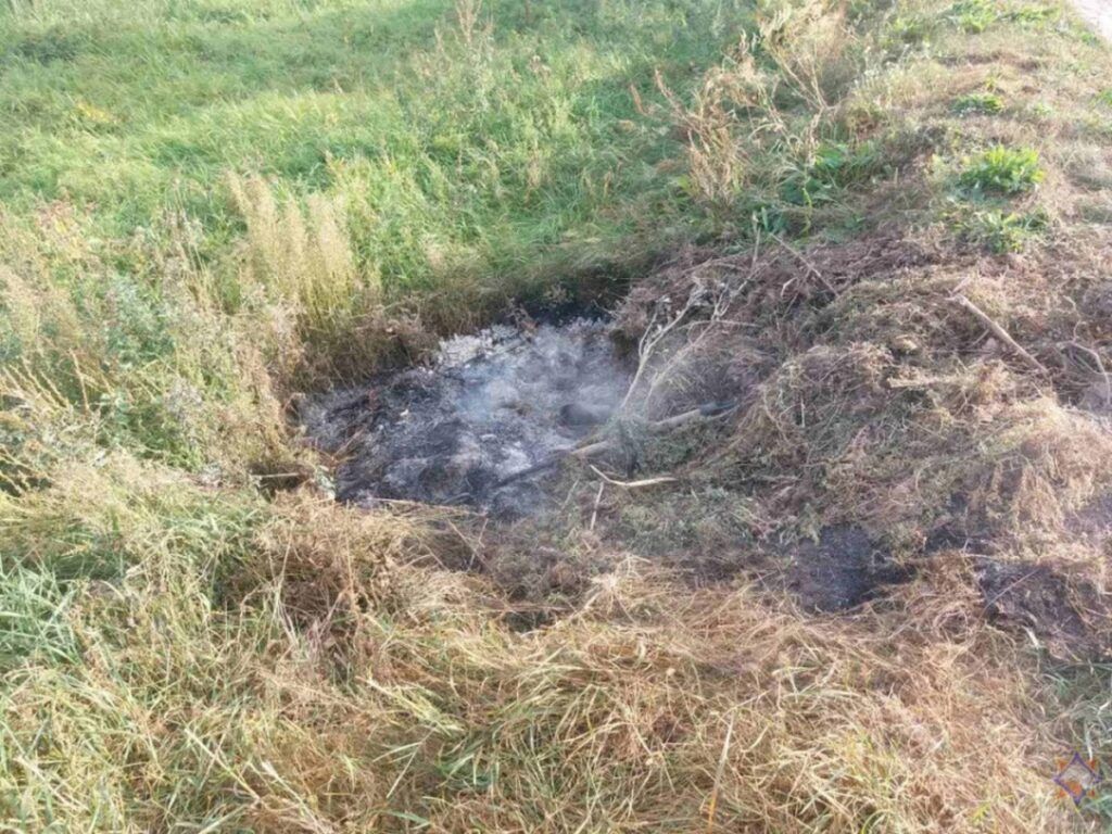 В Могилевской области пенсионерка упала в костер и погибла