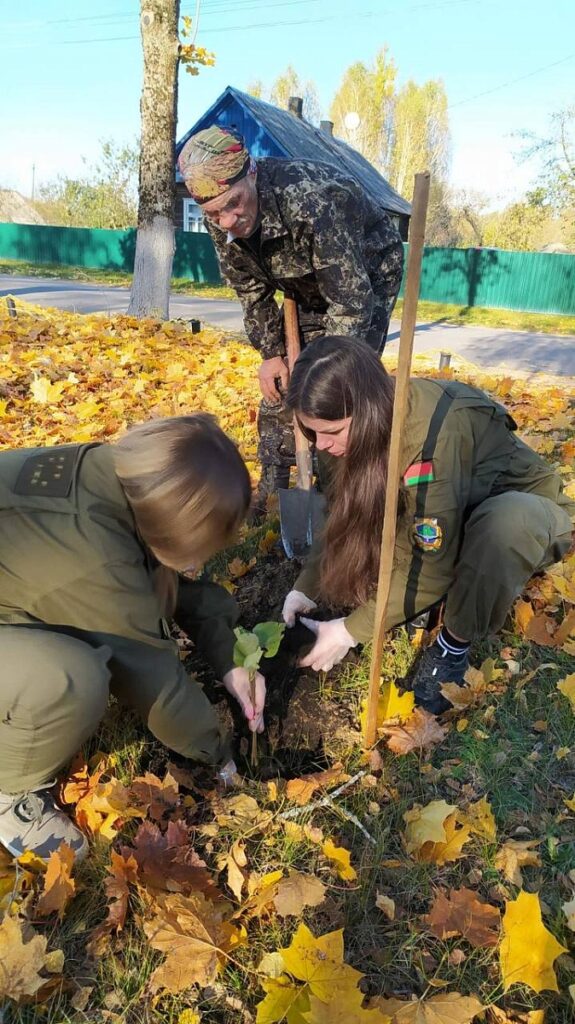 озеленение