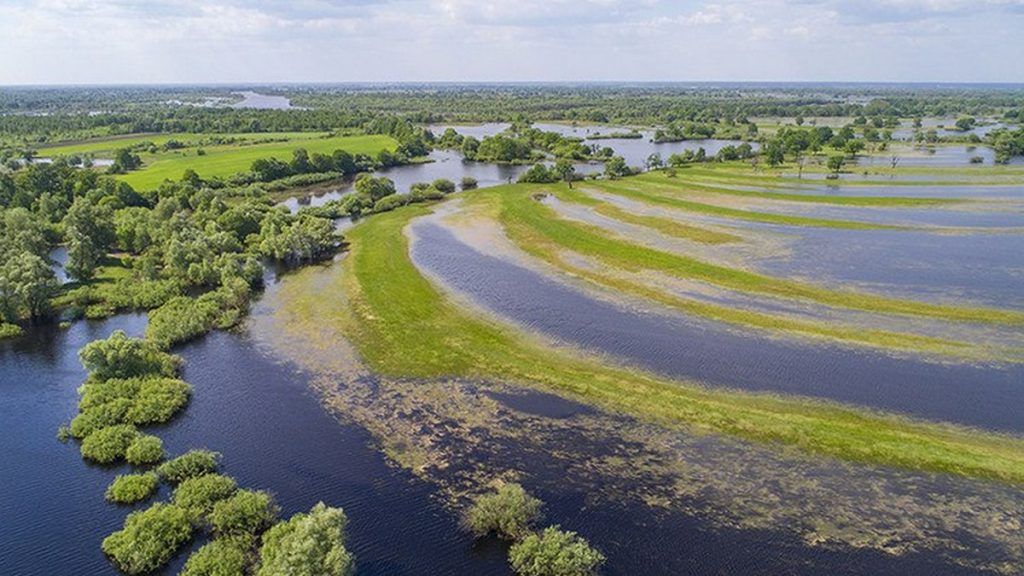 Полесье