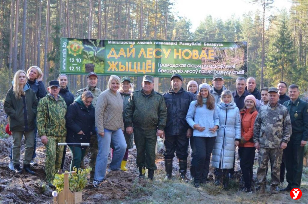 Крупки, восстановление лесов