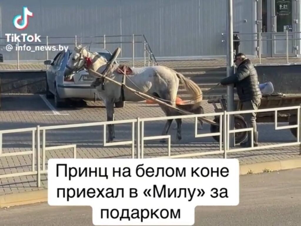 Принц на белом коне в Копыле