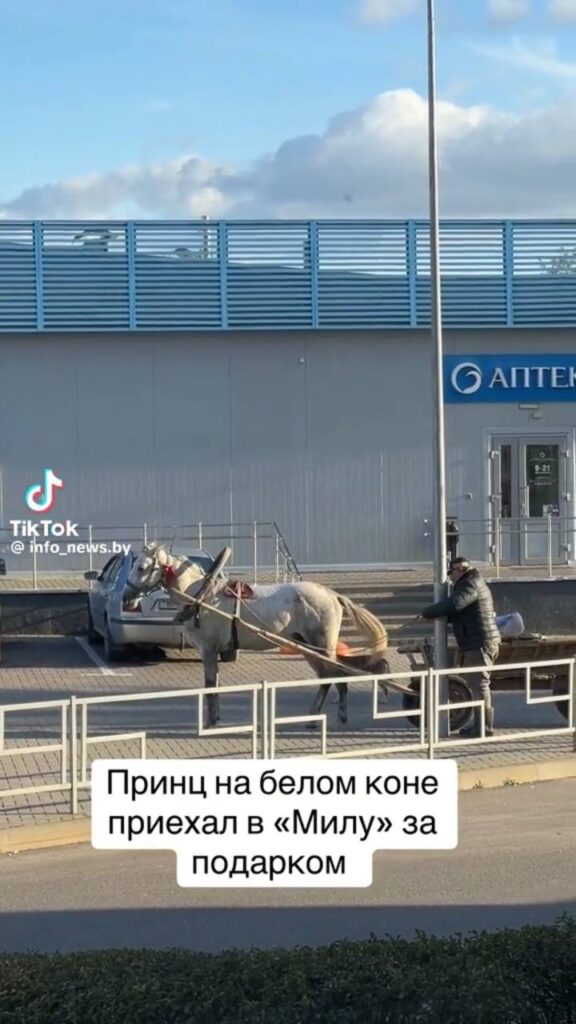 принц в Копыле