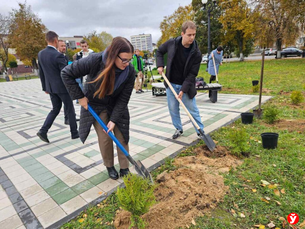 Аллея в Борисове