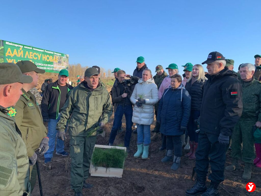 Крупский район,  дадим лесу новае жыцце