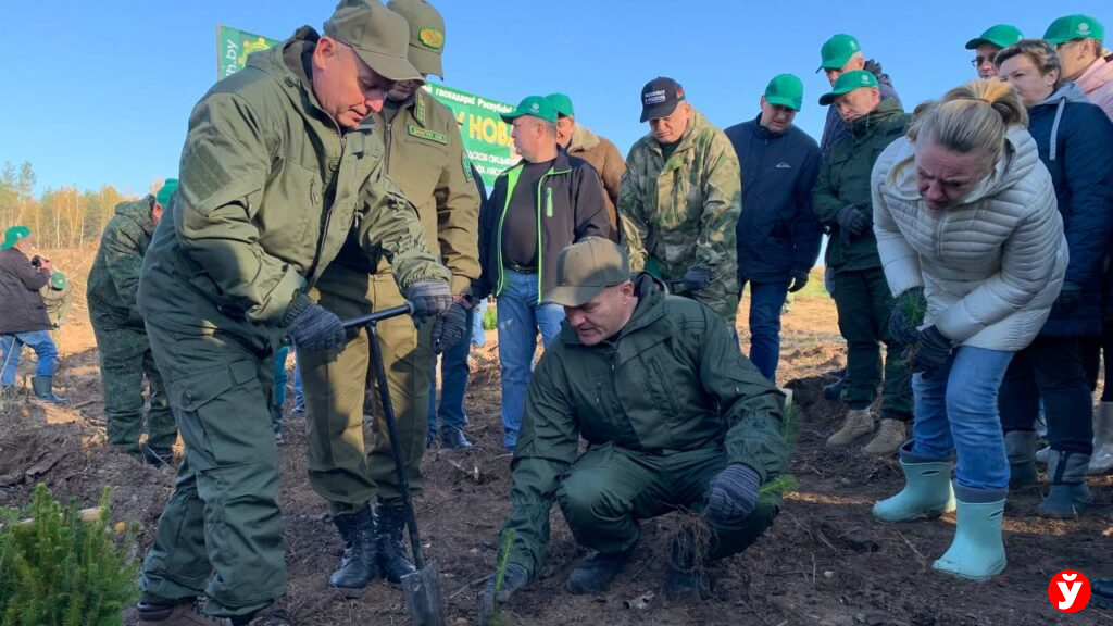 Крупский район,  дадим лесу новае жыцце