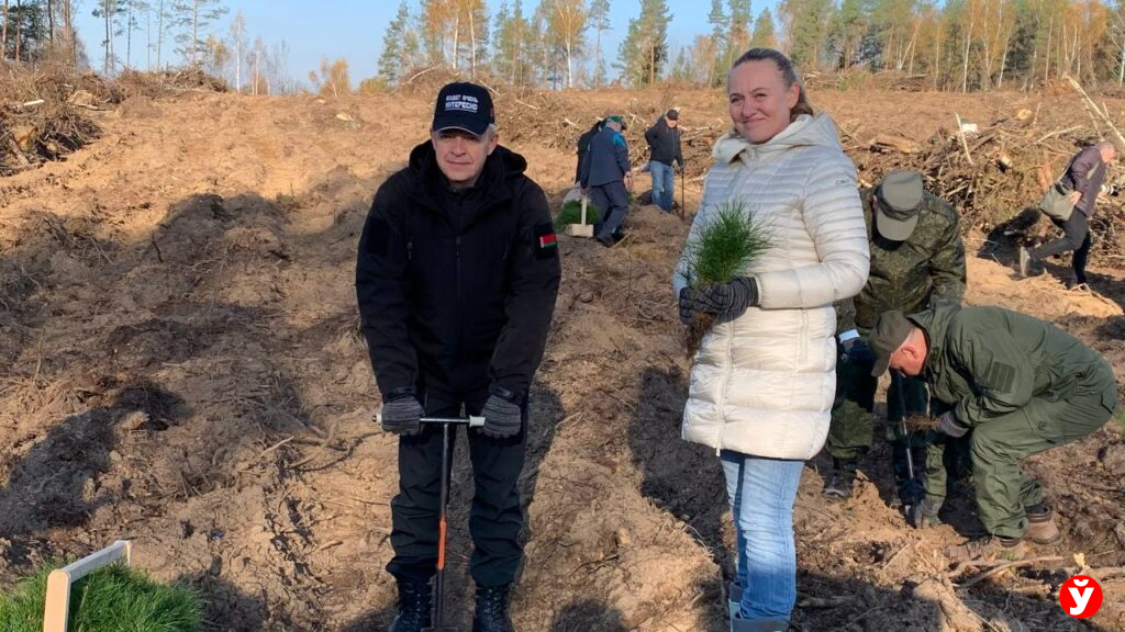 Крупский район,  дадим лесу новае жыцце