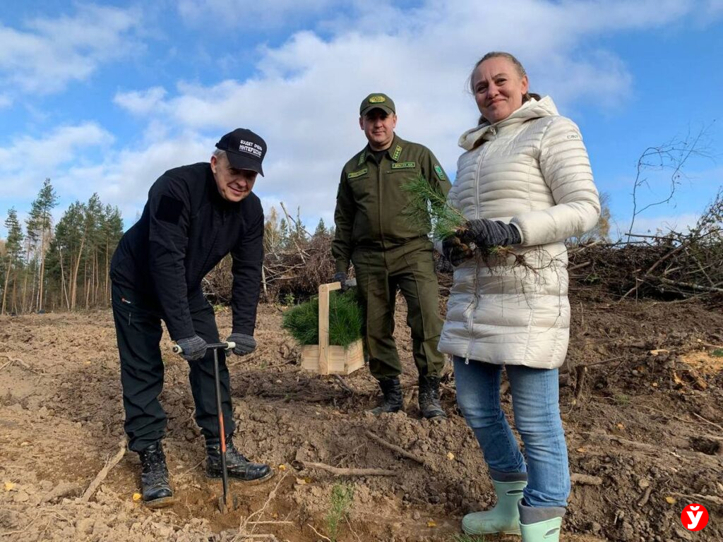 Крупский район,  дадим лесу новае жыцце