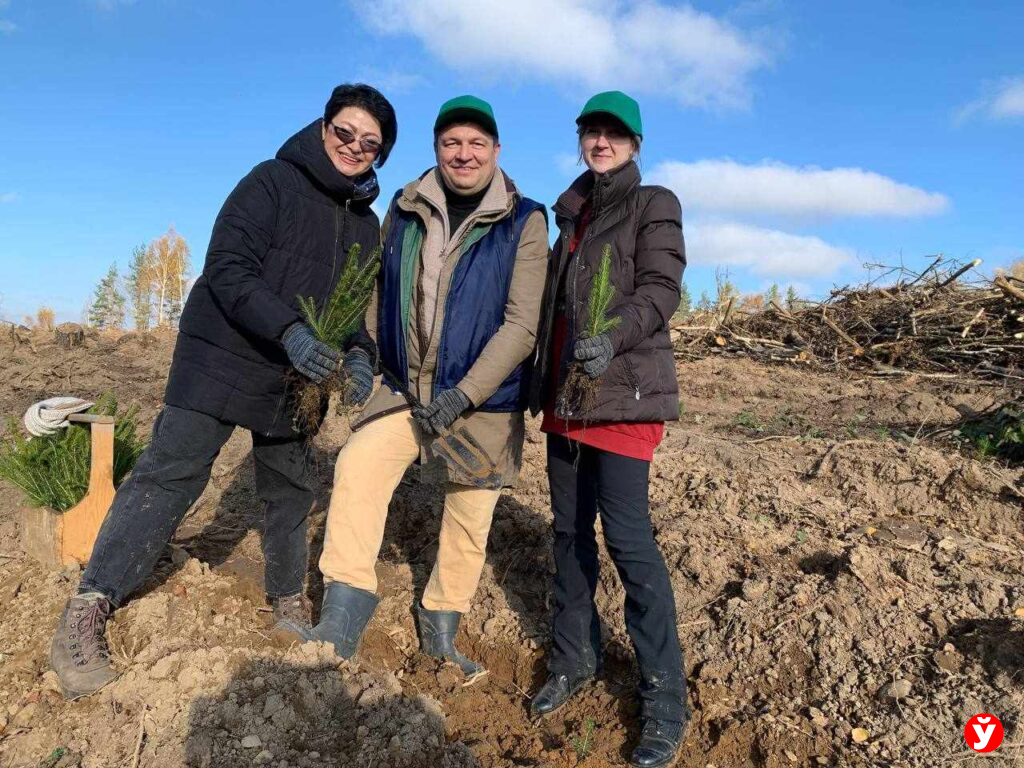 Крупский район,  дадим лесу новае жыцце