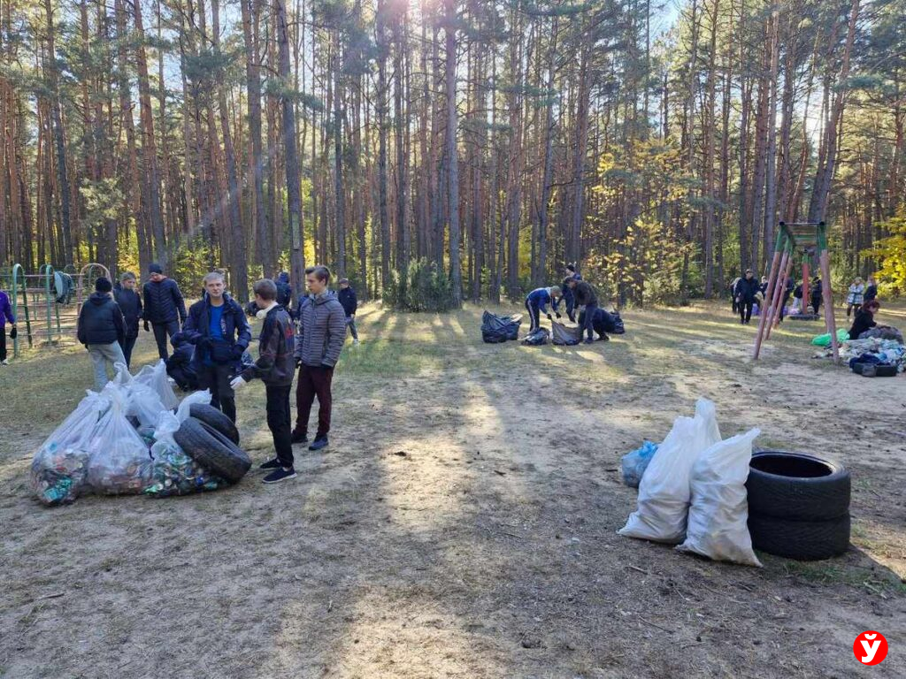 Солигорск, соревнования по скоростному сбору мусора