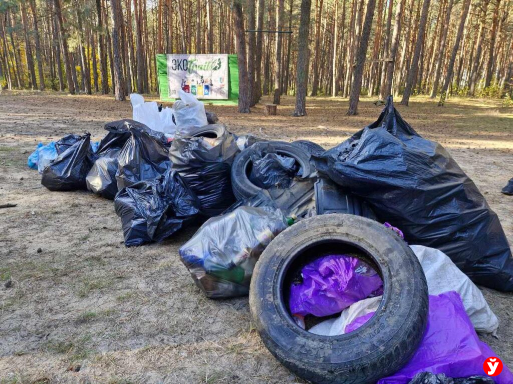 Солигорск, соревнования по скоростному сбору мусора