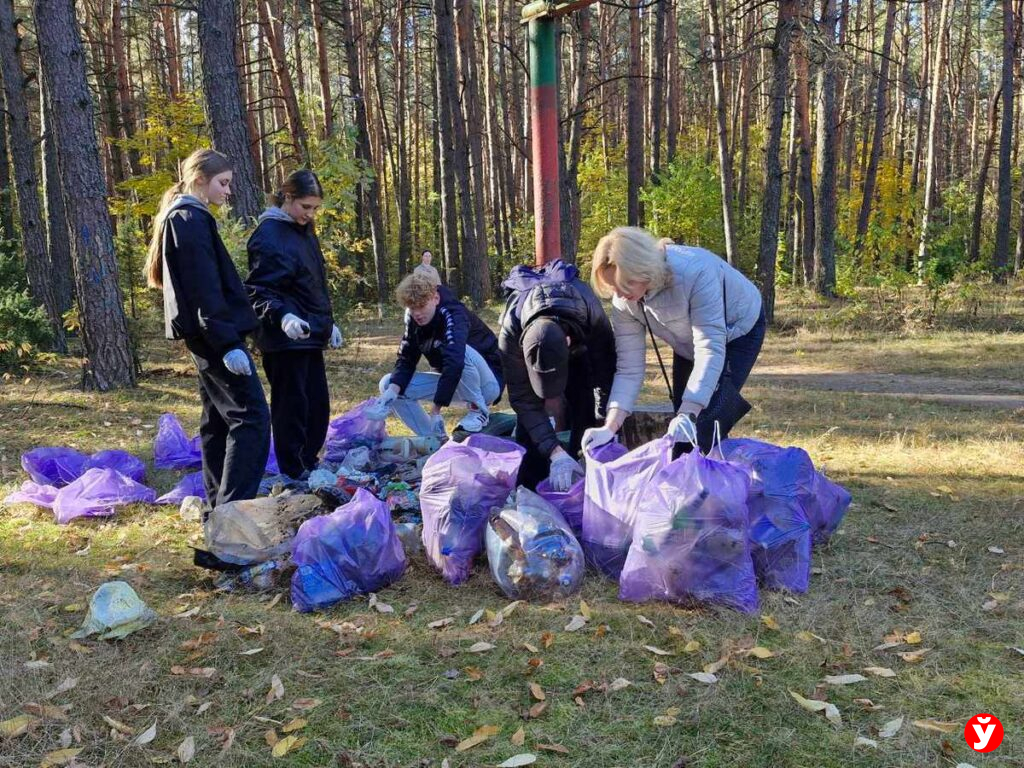 Солигорск, соревнования по скоростному сбору мусора