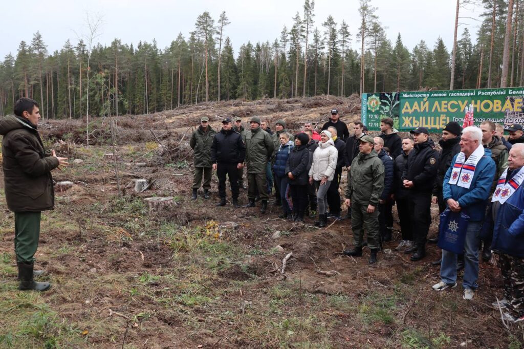 Спасатели Минщины высадили в Логойском районе более 12 тысяч деревьев