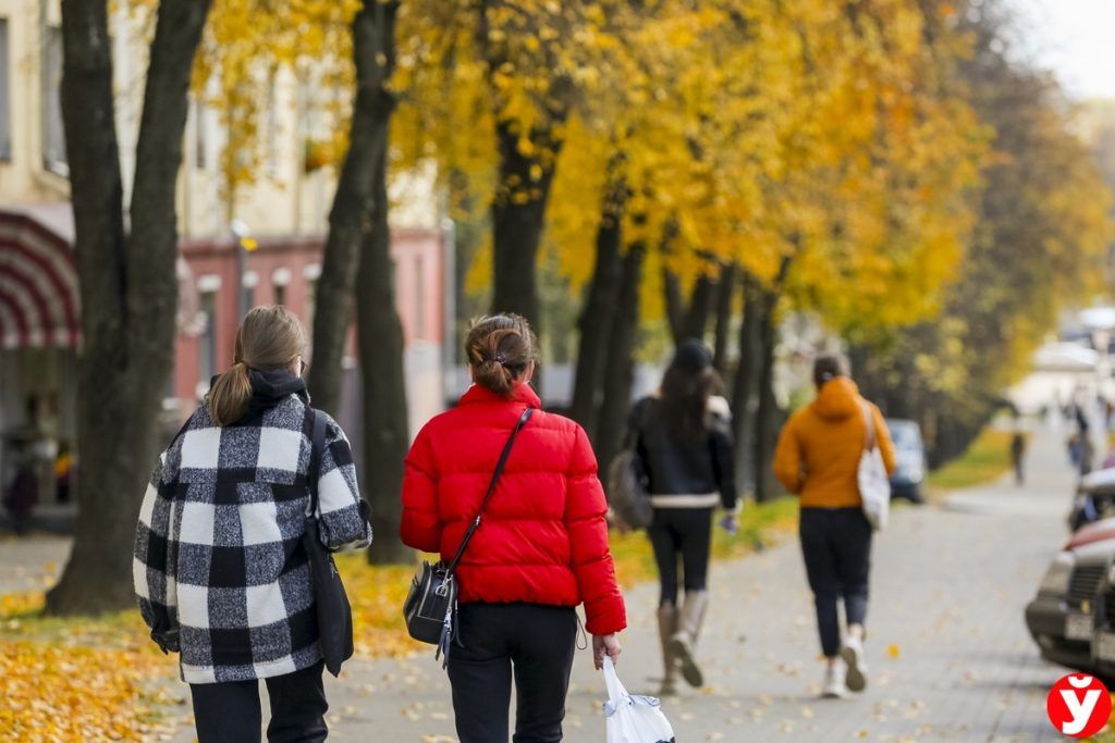 В Беларуси могут создать институт искусственного интеллекта