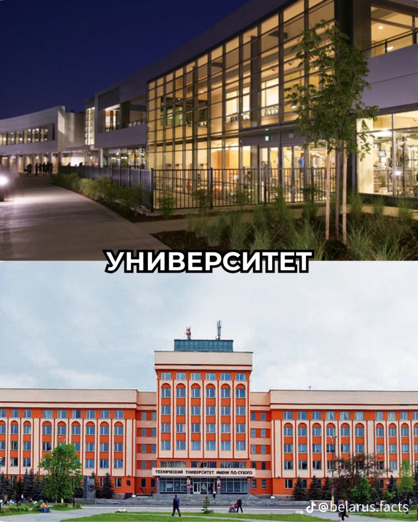 университет