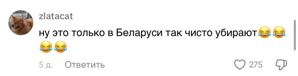 Уборка по-белорусски: дворник нашел оригинальный способ облегчить себе работу