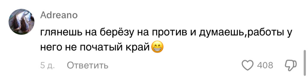 Уборка по-белорусски: дворник нашел оригинальный способ облегчить себе работу