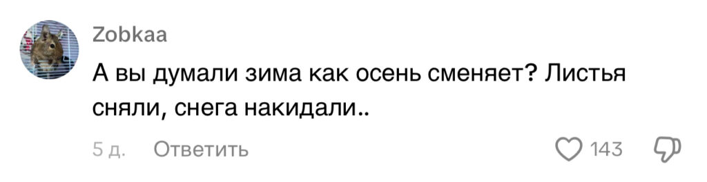 Уборка по-белорусски: дворник нашел оригинальный способ облегчить себе работу