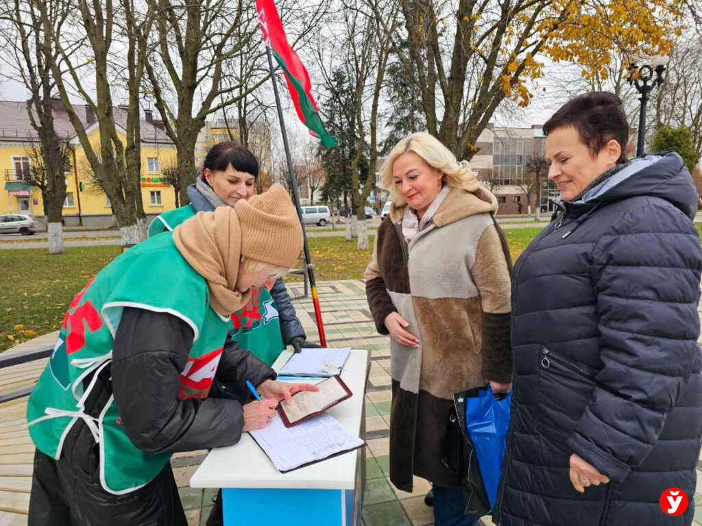 Борисов, пикет