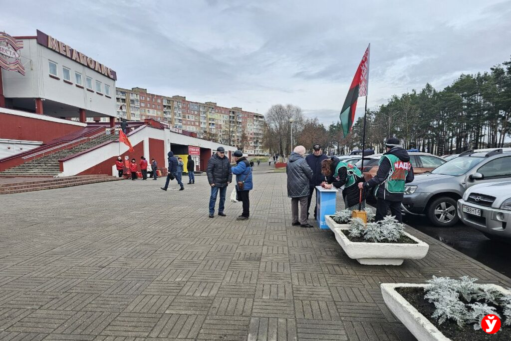 пикеты в Борисове