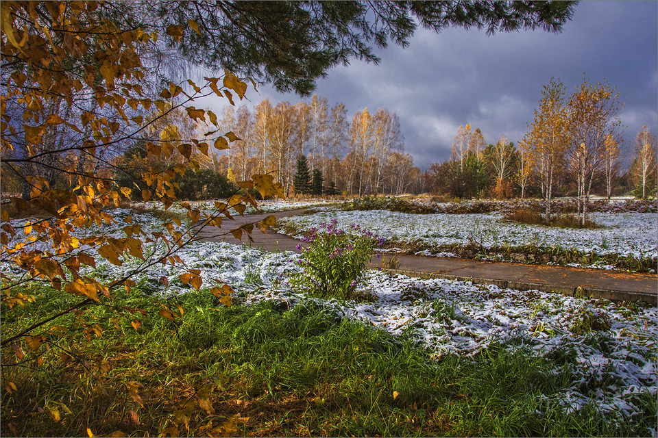 погода