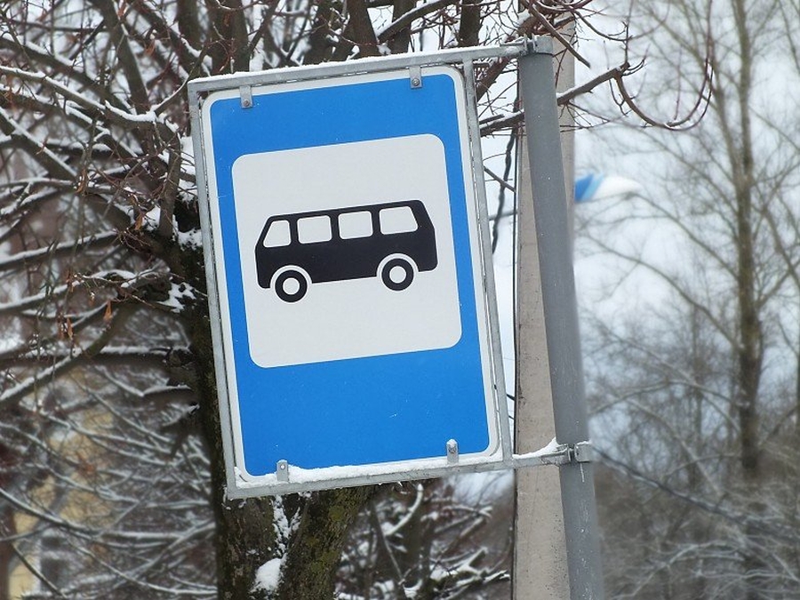 Как будет ходить пригородный транспорт из-за переноса рабочих дней в 2025 году