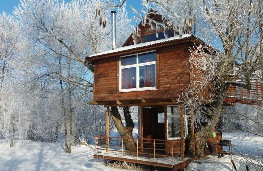 Дом на дереве в Заречанах