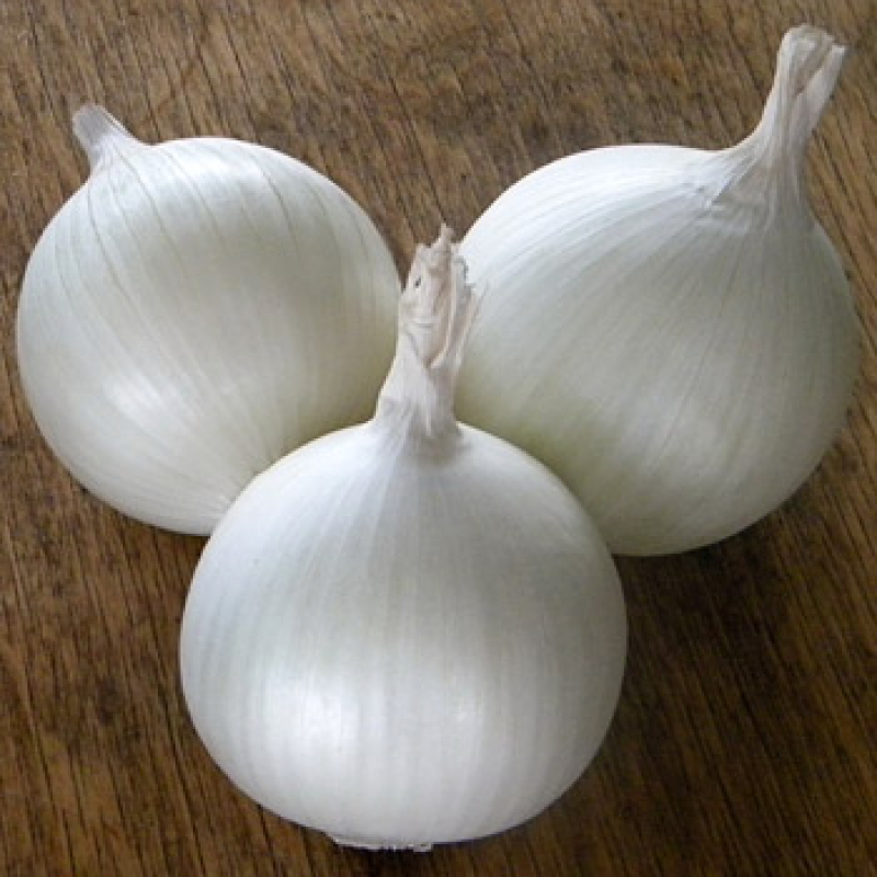Лук