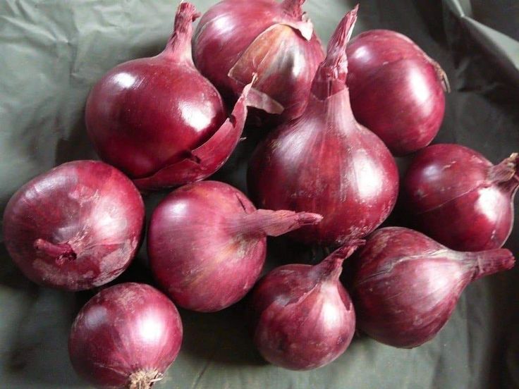 Лук