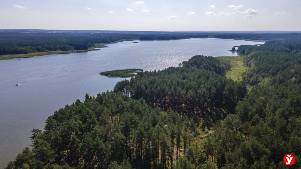фото с дрона