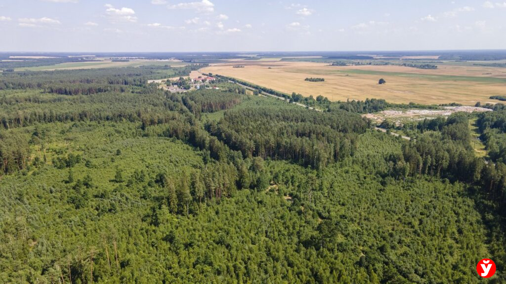 фото с дрона