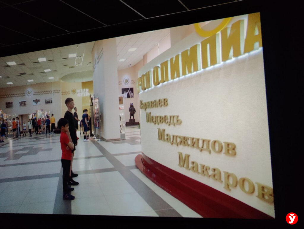 Кино медведь