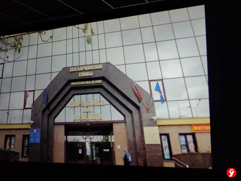 Кино медведь