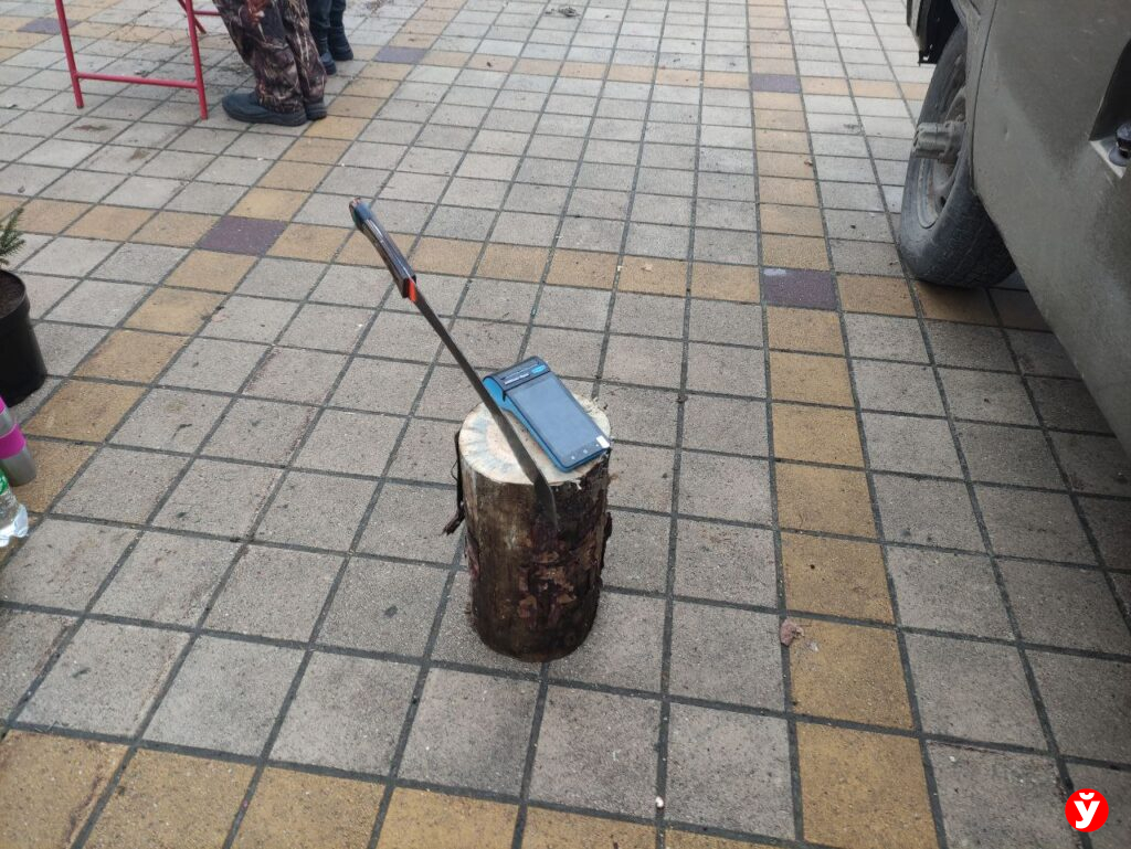 Елки Березино