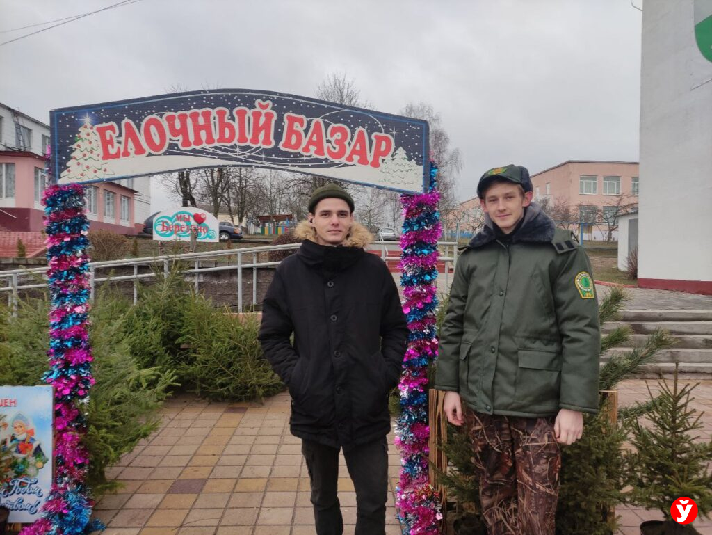 Елки Березино