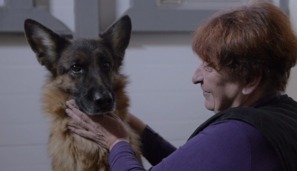 Кинологическое подразделение Национального аэропорта Минск отметило 20-летие