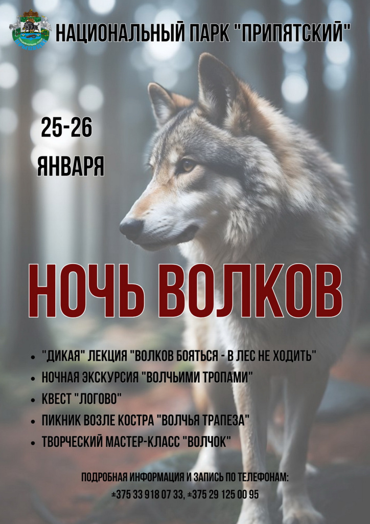 Ночь волков