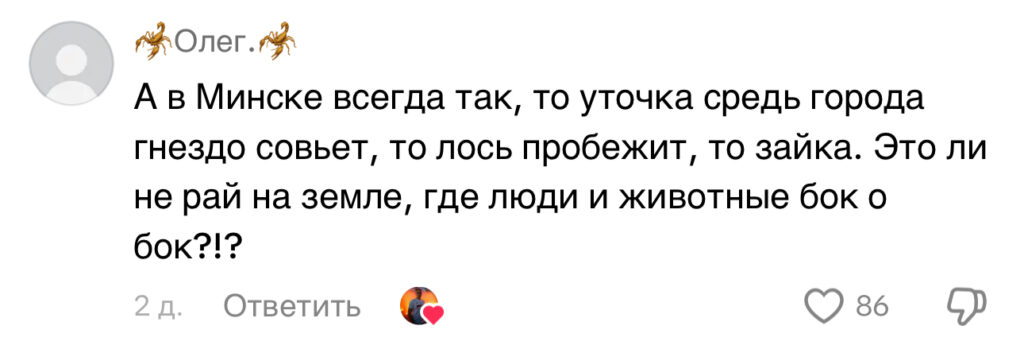 комментарий