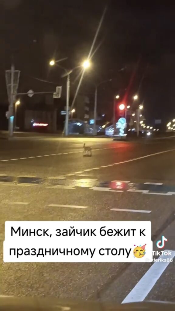 зайчик