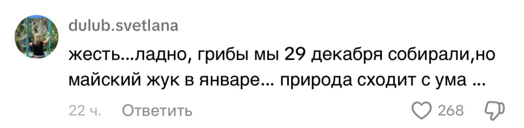 комментарий