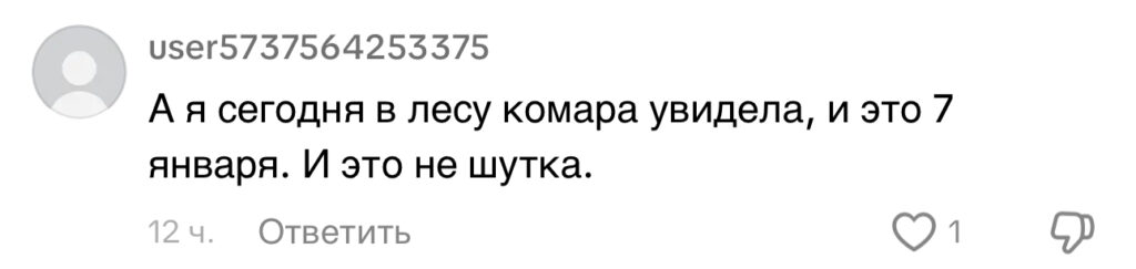комментарий
