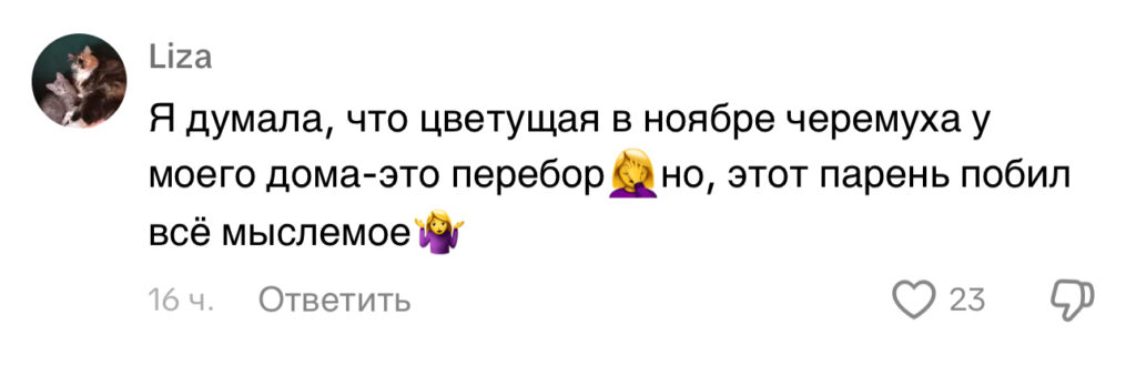 комментарий