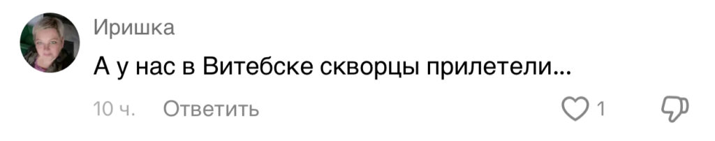 комментарий