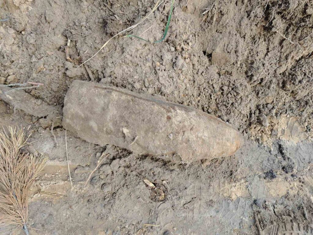 На буреломе в Жлобинском лесхозе нашли боеприпасы времен Великой Отечественной войны