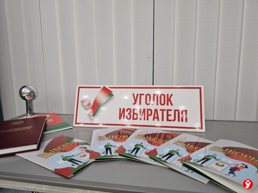 избирателя