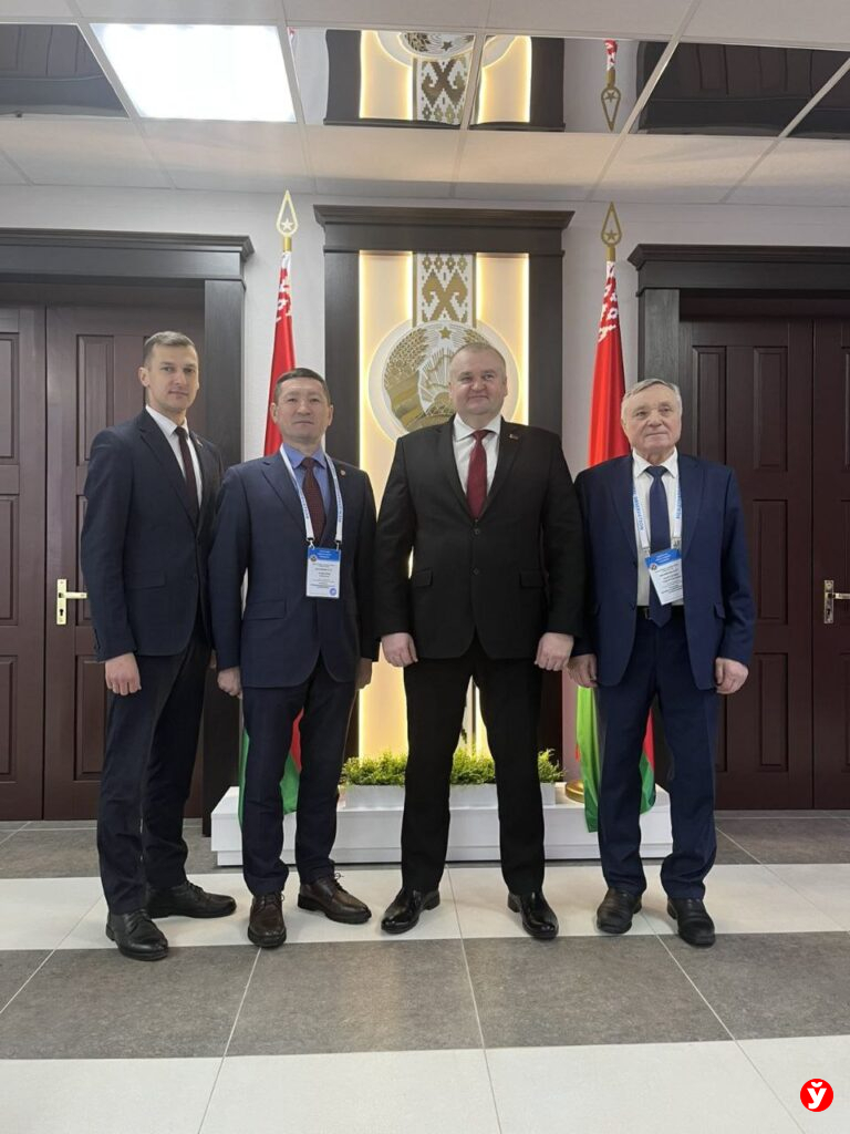 Борисов наблюдатели