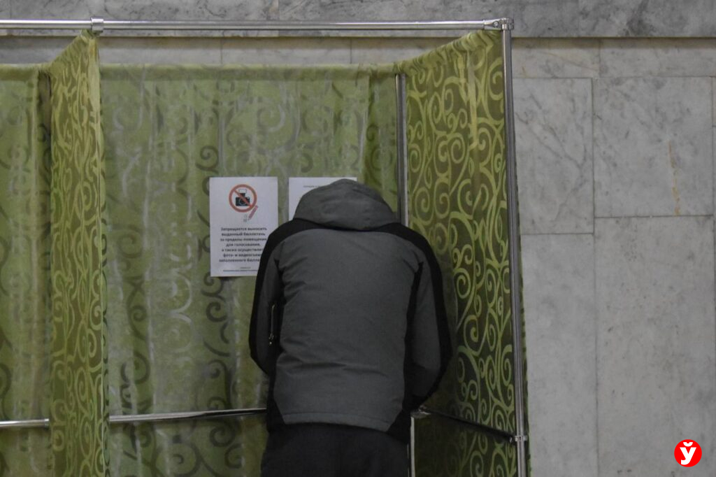 выборы