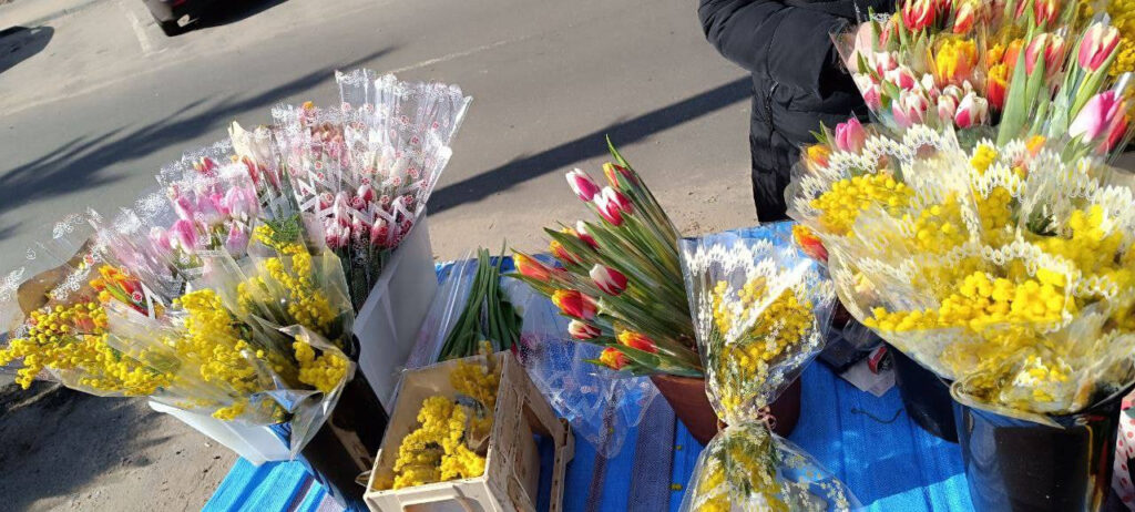 Какими будут цены на тюльпаны к 8 Марта — прогнозы предпринимателей из Вилейки