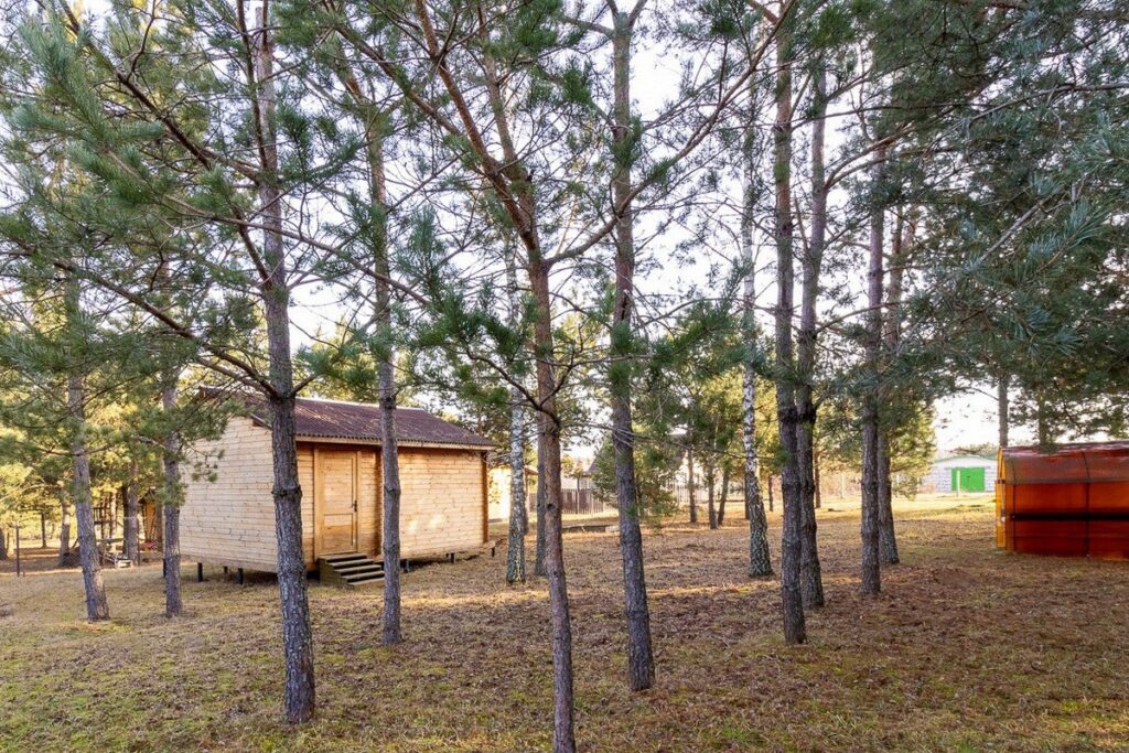 Дача Столбцы